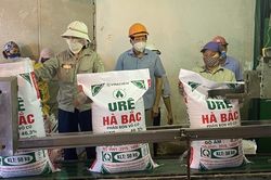Đạm Hà Bắc có quý lỗ đầu tiên sau 6 kỳ lãi, lợi nhuận gộp giảm tới 92%