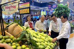 Đồng Tháp nâng tầm thương hiệu xoài