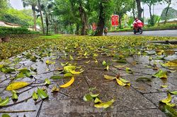 Người dân Thủ đô chật vật đi làm trong mưa rét bất thường