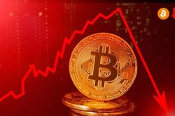 Lý do Bitcoin đóng tuần đẫm máu nhất trong 5 tháng