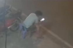 Mải mê ngồi bấm điện thoại trước nhà, người đàn ông 'đứng hình' bởi diễn biến sau đó