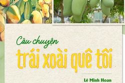 Câu chuyện trái xoài quê tôi