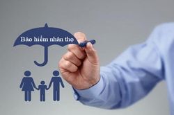 Phát hiện khoảng 3.100 trường hợp đại lý bảo hiểm có sai phạm
