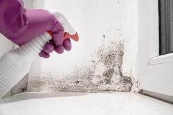 3 nơi trong nhà phát ra mùi hôi - nấm mốc khi trời nồm ẩm và cách khắc phục