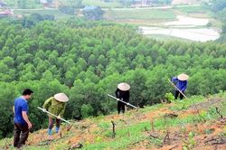 Khoảng 90% diện tích rừng bị mất từ mở rộng nông nghiệp