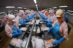 Thúc đẩy chuyển đổi số để giảm 'nhũng nhiễu' cho doanh nghiệp