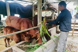 Hà Nội tiếp tục dành nguồn lực cho công tác giảm nghèo bền vững