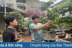 Người 'thổi hồn' vào cây cảnh giữa lòng phố thị