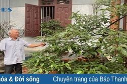 Người thương binh nhiệt tình với công tác xã hội