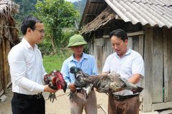 Tín dụng chính sách mở lối thoát nghèo