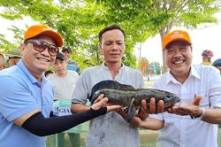 'Hương rừng U Minh' quảng bá, giới thiệu tiềm năng, thế mạnh các hoạt động văn hóa, thể thao, du lịch của địa phương