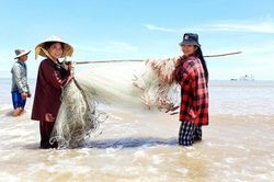 Khám phá, trải nghiệm du lịch sinh thái biển phù sa