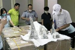 Hải quan Nội Bài phát hiện kiện hàng hơn 16kg sừng tê giác, ngà voi