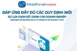 Hiệu quả thiết thực từ chuyển đổi số doanh nghiệp