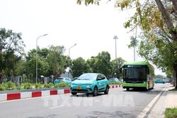 Sẽ có 600 xe taxi xanh SM hoạt động tại Tp. Hồ Chí Minh từ 30/4