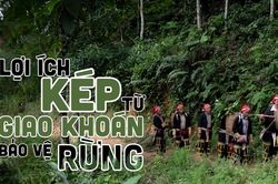 Lợi ích kép từ giao khoán bảo vệ rừng