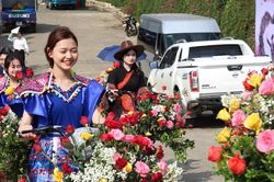 Ấn tượng màn diễu hành hoa và Carnaval đường phố