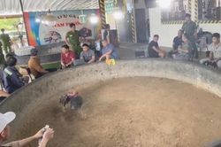 'Bí mật' trong quán cà phê 'giao lưu gà chọi Nam Phước'