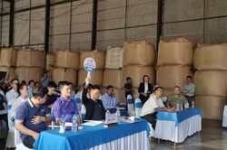 Lần đầu tiên đấu giá, cà phê đặc sản Việt Nam tăng giá 7 lần
