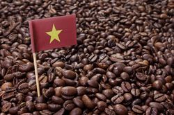 Giá cà phê hôm nay 30/4/2023: Điều chỉnh trái chiều vào phiên cuối tháng, dự báo giá cà phê tiếp tục tăng trong thời gian tới