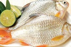 Cách nhận biết cá tươi ngon