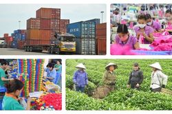 Đổi mới thể chế để phát triển bền vững