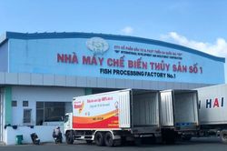 Lợi nhuận của IDI giảm 91% trong quý 1/2023