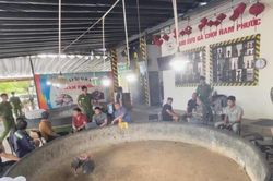 Triệt phá sới bạc nấp bóng hình thức giao lưu gà chọi