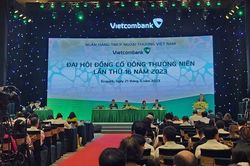 Mùa đại hội cổ đông: Lộ diện khó khăn