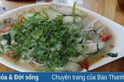 Phi xào mướp hương