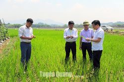 Luân chuyển để rèn luyện cán bộ