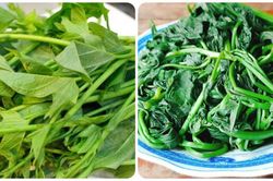 Tác hại của rau lang nếu ăn quá nhiều