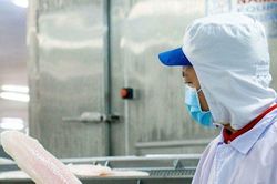 Ngấm đòn lạm phát, một doanh nghiệp cá tra 'bốc hơi' hơn 90% lợi nhuận