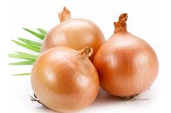 Vì sao tuyệt đối không được để hành tây trong tủ lạnh?
