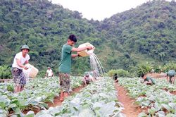 Nâng cao đời sống cho bộ đội