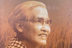 Người phụ nữ 'phá rào' gom gạo cho TP.HCM trong những ngày thiếu ăn