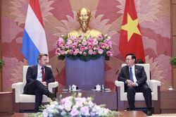 Hình ảnh Chủ tịch Quốc hội tiếp Thủ tướng Luxembourg Xavier Bettel