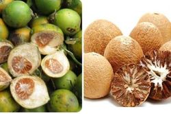 Hạt cau khô có tác dụng gì?