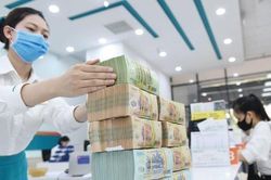 Sắp có gói tín dụng 10.000 tỷ đồng hỗ trợ doanh nghiệp lâm, thủy sản?