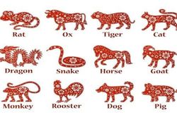 Dự đoán ngày mới 06/05/2023 cho 12 con giáp: Tý vượng tài, Tỵ trắc trở