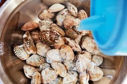 Tuyệt chiêu giúp ngao nhả cát nhanh nhất, chỉ 10 phút là sạch bong