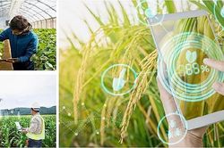 Quảng Trị: Thúc đẩy chuyển đổi số trong xây dựng nông thôn mới