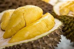 Sầu riêng Ri6 của Việt Nam lần đầu tiên có mặt tại thị trường Anh