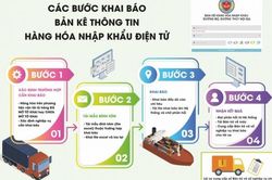 Dễ dàng khai thông tin hàng hóa nhập khẩu mọi lúc, mọi nơi