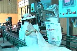 Cổ phiếu nào tăng mạnh nhất trên sàn HNX?