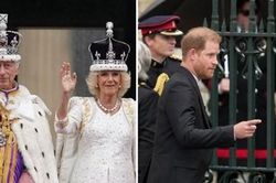Hoàng tử Harry rời đi ngay sau Lễ Đăng Quang của Vua Charles, không xuất hiện cùng gia đình