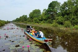 Liên kết phát triển du lịch miệt vườn