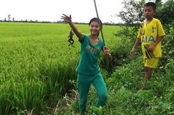 Sống chậm cuối tuần: Món chả nhái và thơ
