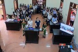 Thường trực Tỉnh ủy Nghệ An yêu cầu báo cáo vụ cô giáo bị phạt 5 năm tù