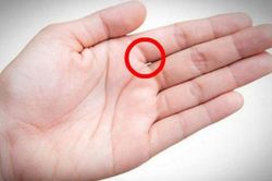 Người nghèo hèn, ít phúc dễ yểu mệnh trên bàn tay thường có 4 điểm này: Ai có 1/4 cũng khốn khó cả đời